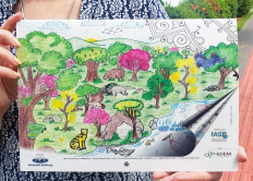 CalendÃ¡rios trazem desenhos de alunos das escolas rurais do Pantanal e da Serra da Bodoquena