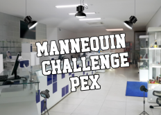 Mannequin Challenge 